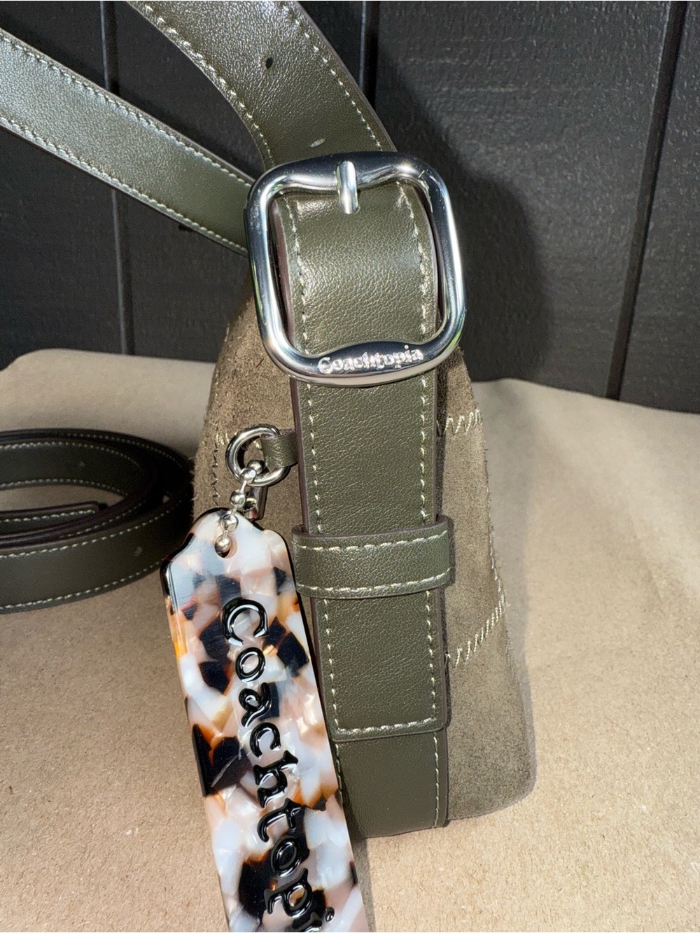 Coachtopia Alter Ego Small Slouchy Shoulder Bag - Picture 9 of 15